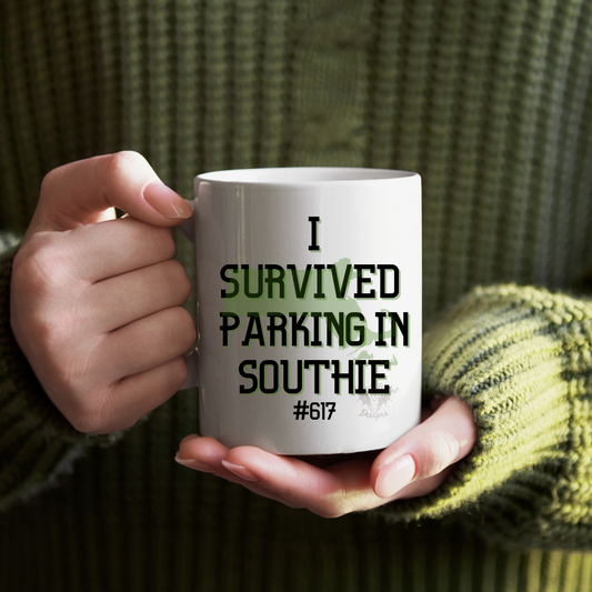 I survived parking in Southie mug