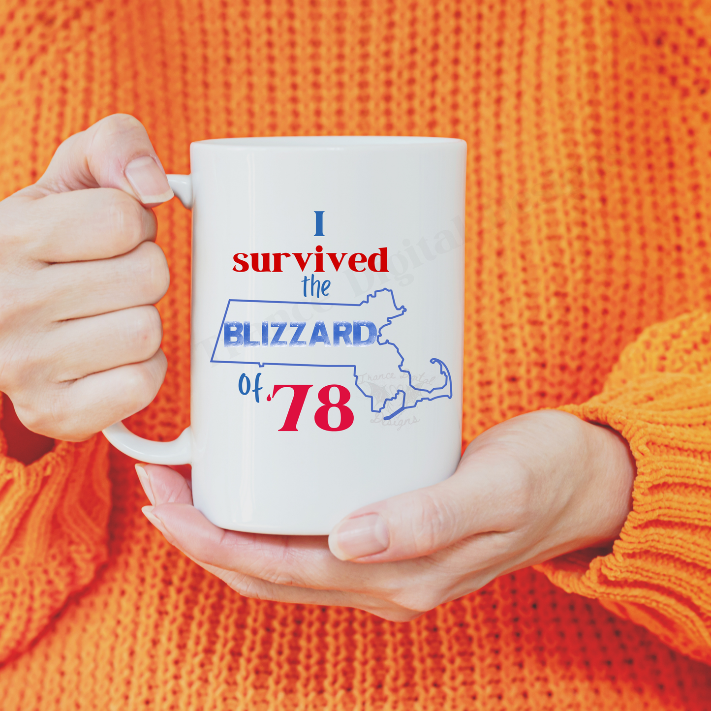 I survived the blizzard of 78 Mug