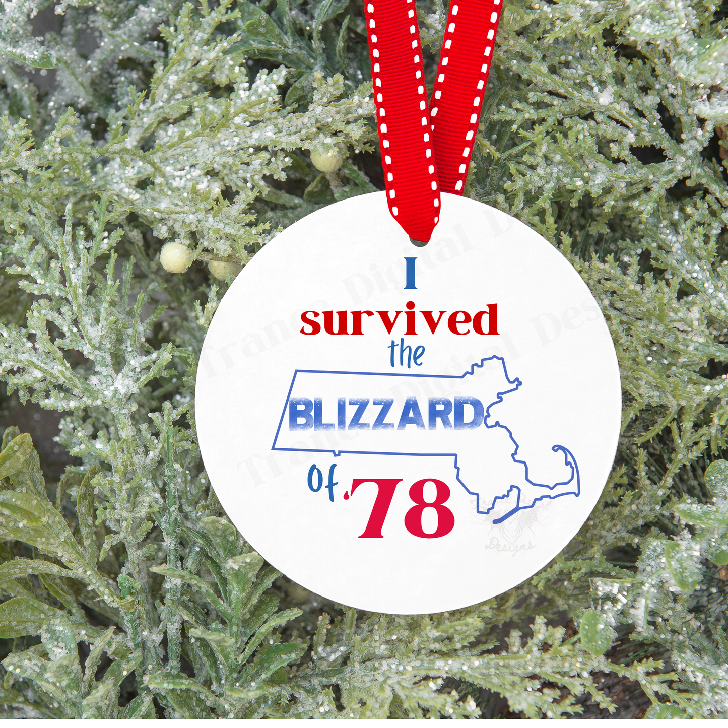 I survived the Blizzard of 78 Ornament